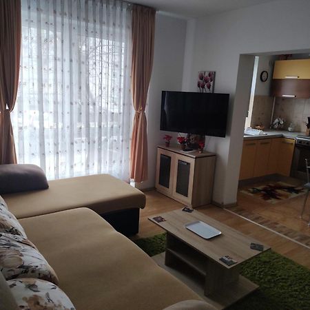 Avantgarden1 .Apartament Lux ブラショフ エクステリア 写真