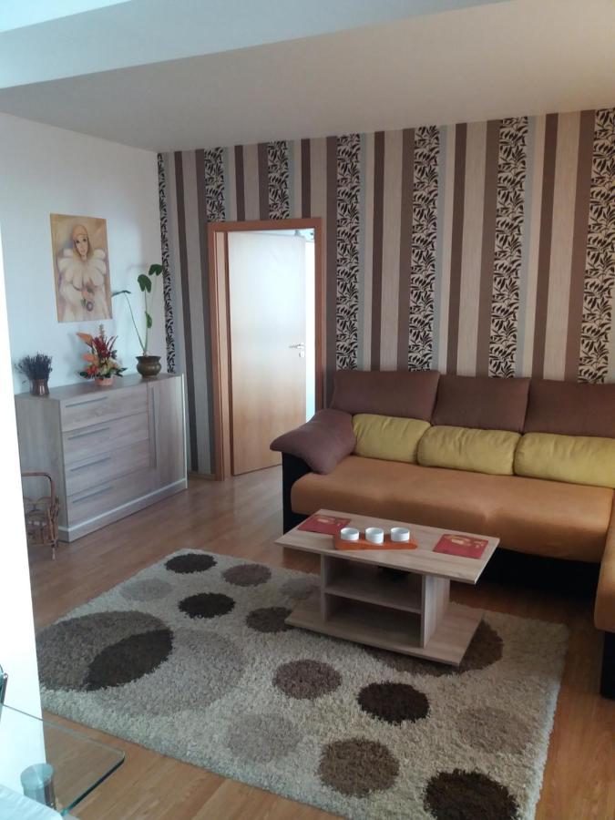 Avantgarden1 .Apartament Lux ブラショフ エクステリア 写真