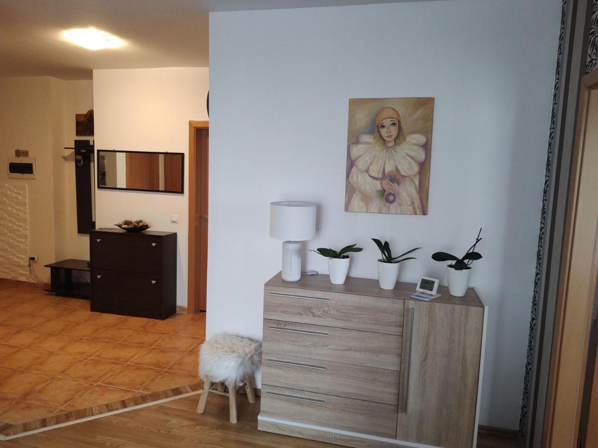 Avantgarden1 .Apartament Lux ブラショフ エクステリア 写真