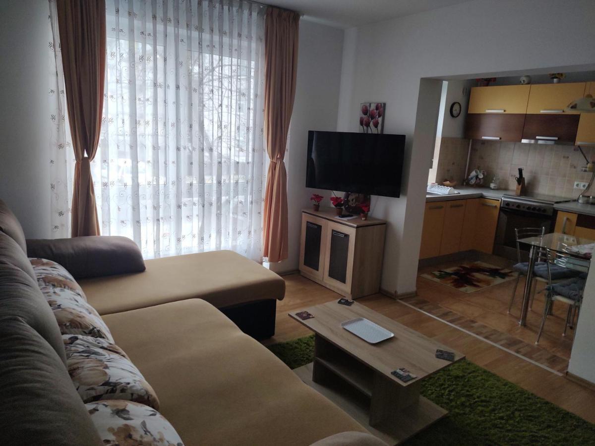 Avantgarden1 .Apartament Lux ブラショフ エクステリア 写真