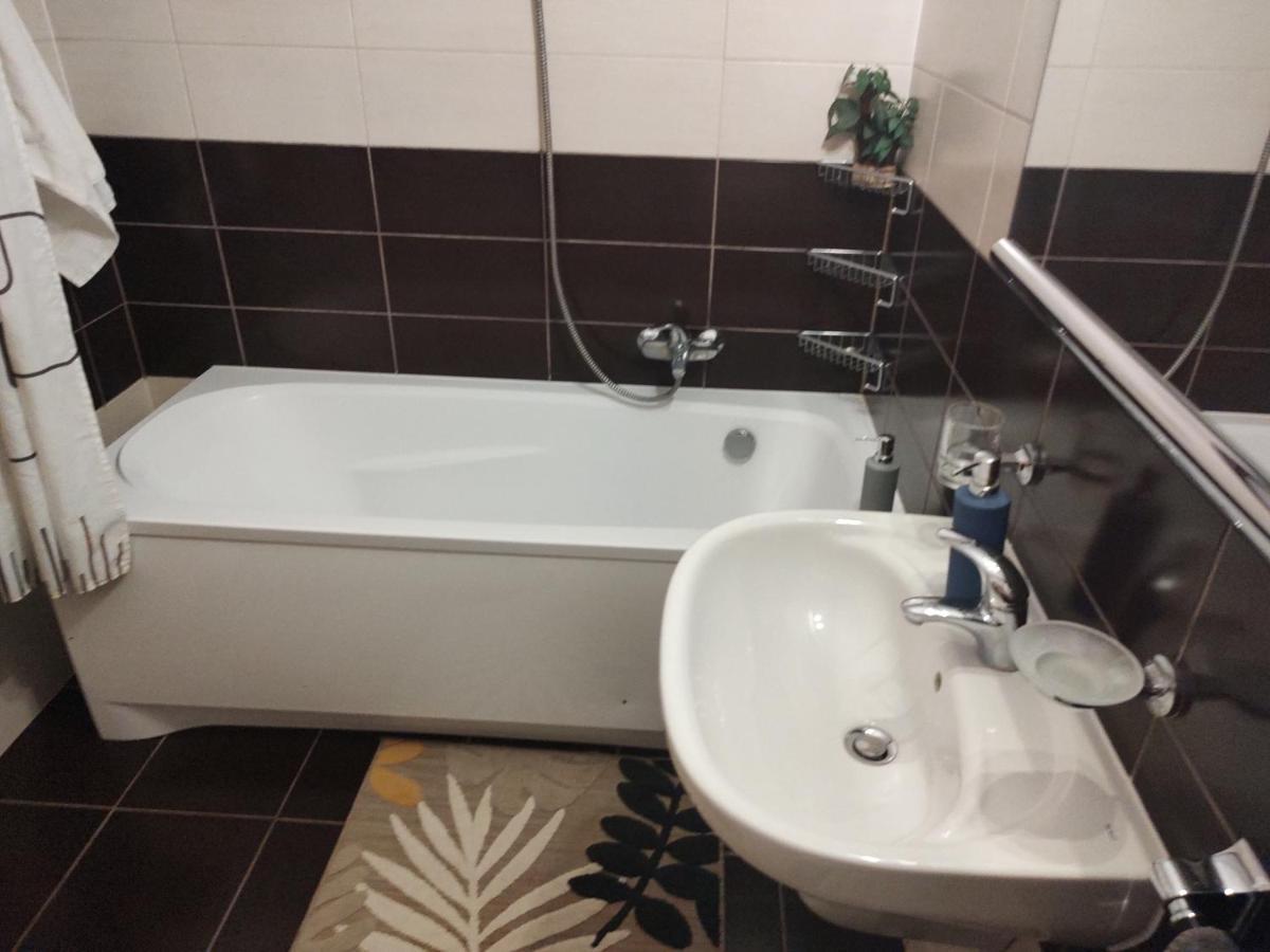 Avantgarden1 .Apartament Lux ブラショフ エクステリア 写真