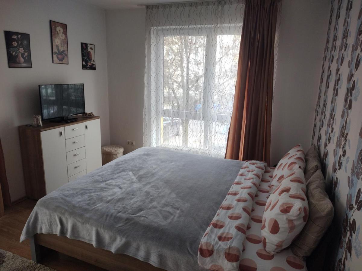 Avantgarden1 .Apartament Lux ブラショフ エクステリア 写真